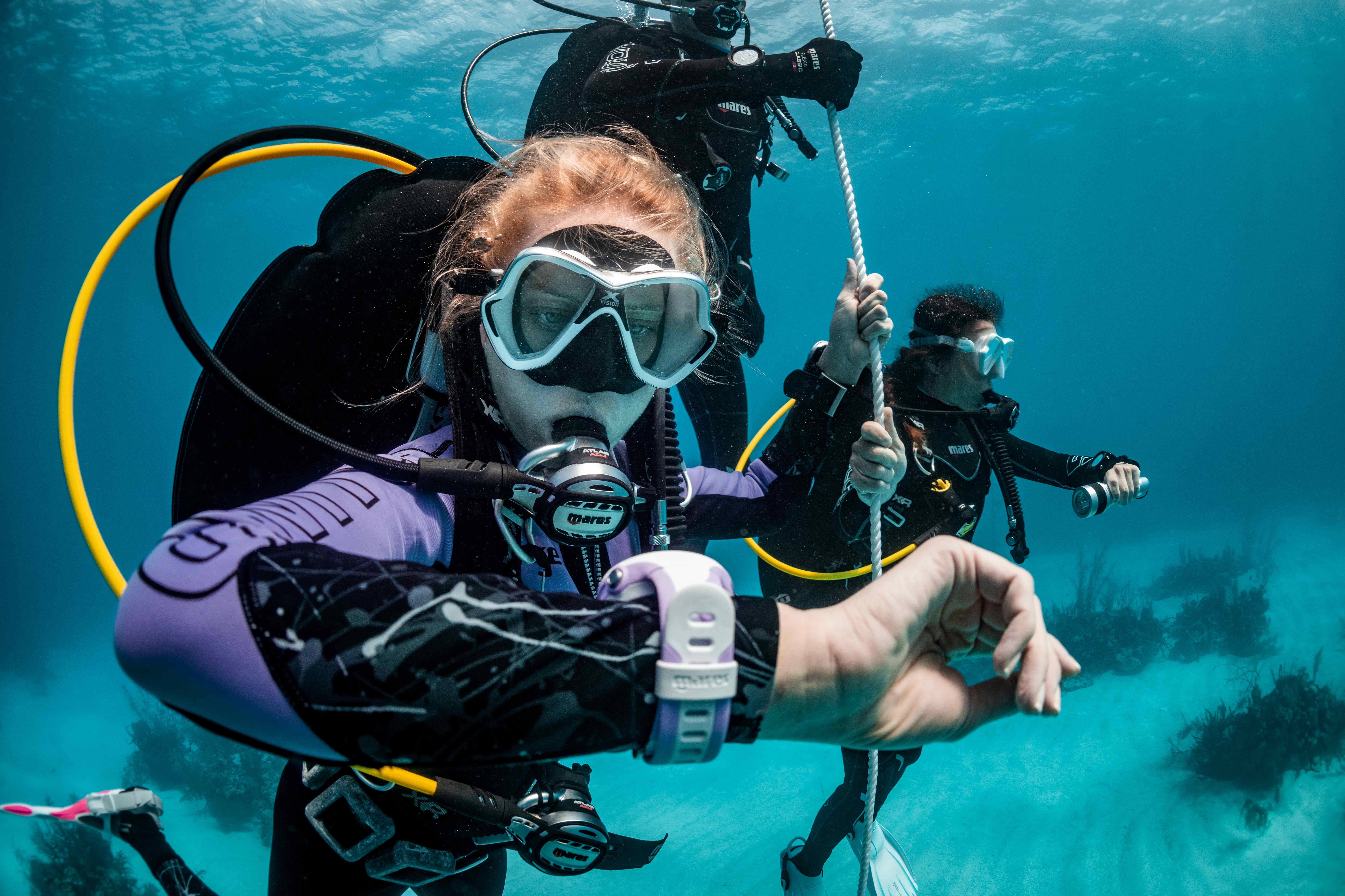 Dive Image_3